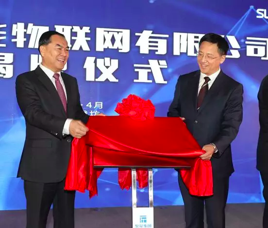 公司动态