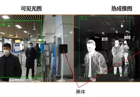 公司动态