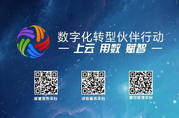 公司动态