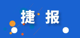 公司动态
