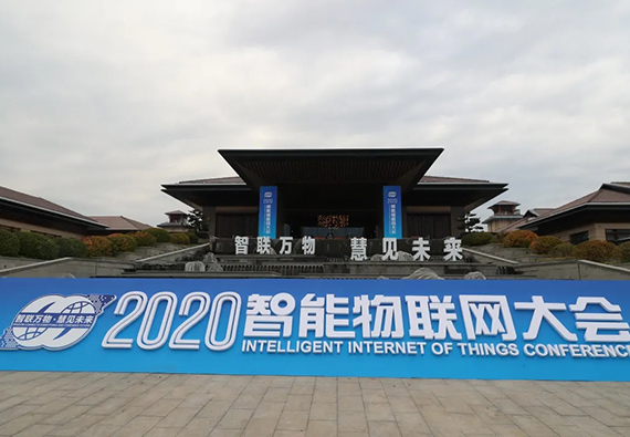 公司动态