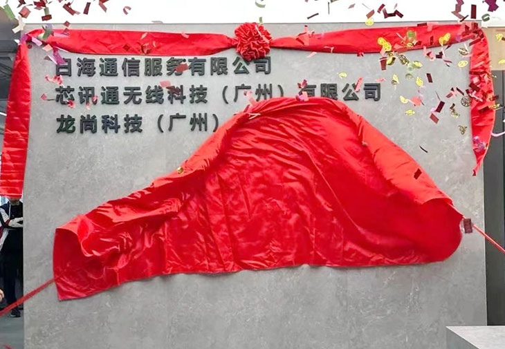 公司动态
